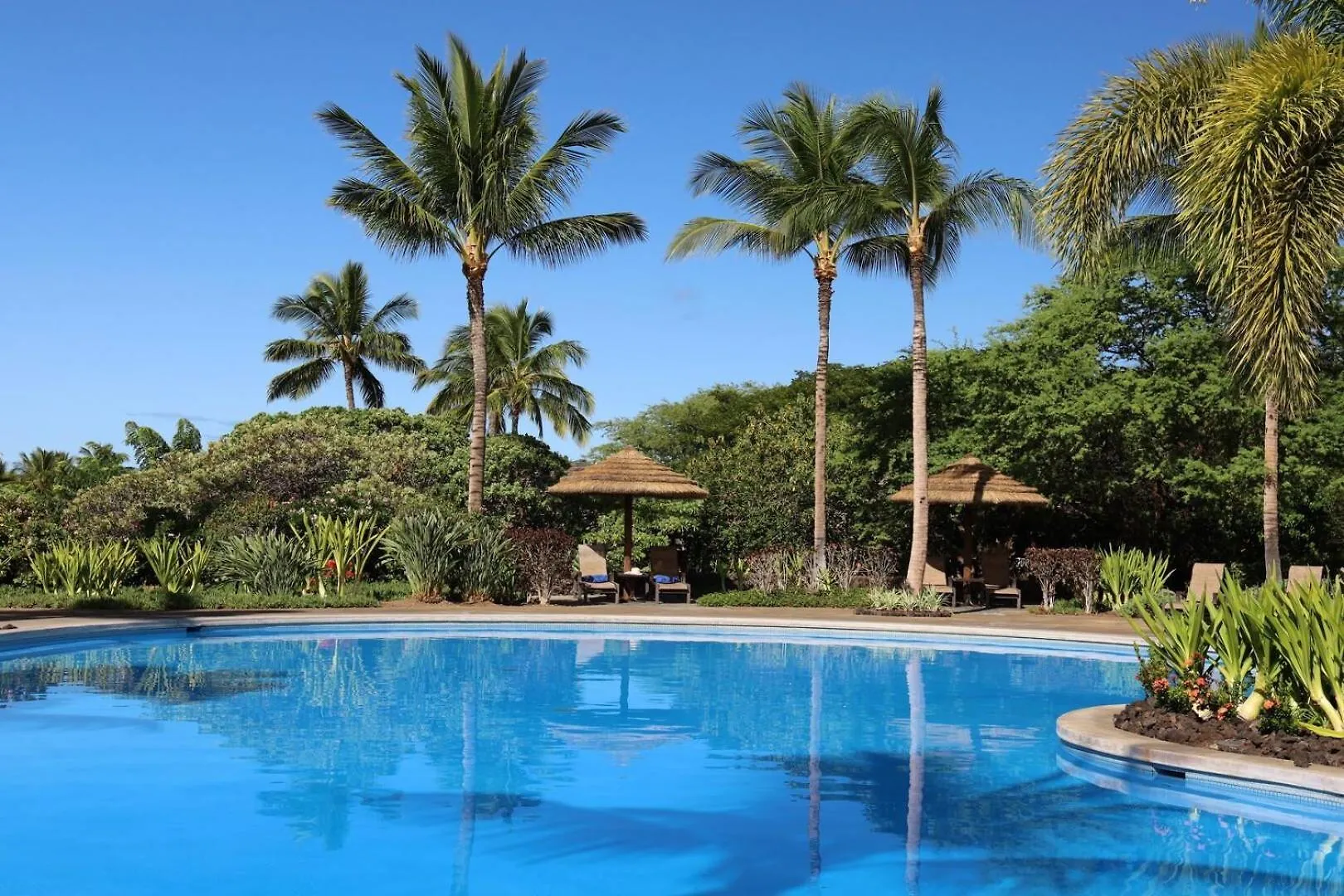 Hawaiian Destiny Spacious Detached Kamilo 4Br With Heated Pool And Spa Waikoloa Hébergement de vacances