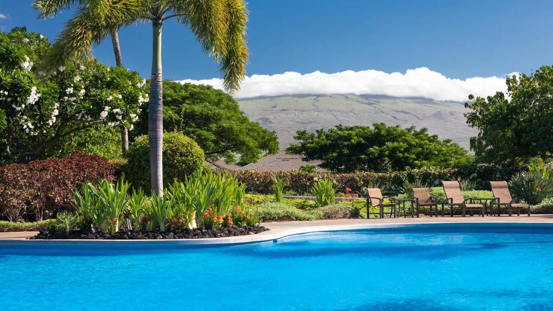 Hawaiian Destiny Spacious Detached Kamilo 4Br With Heated Pool And Spa Waikoloa 0*,