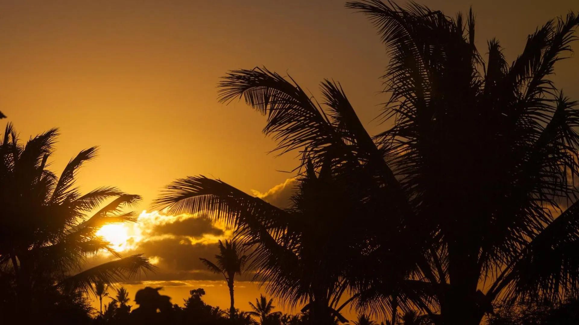 Hawaiian Destiny Spacious Detached Kamilo 4Br With Heated Pool And Spa Waikoloa 0*,  United States